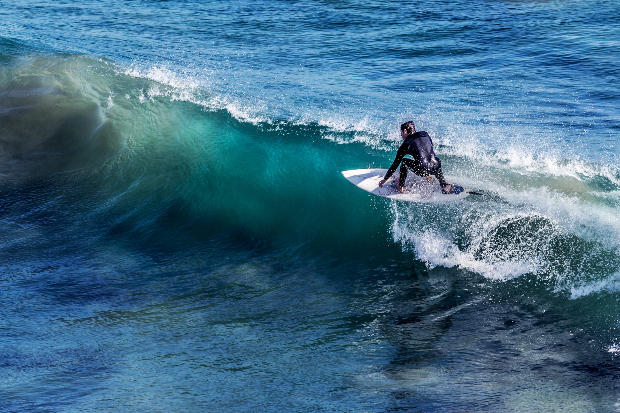 A surfer riding a wave