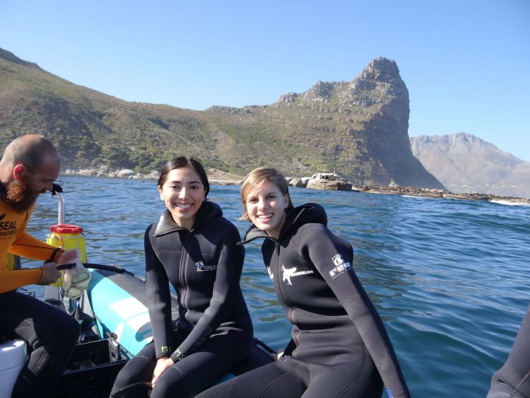 Excursión de Animal Ocean para nadar con lobos marinos