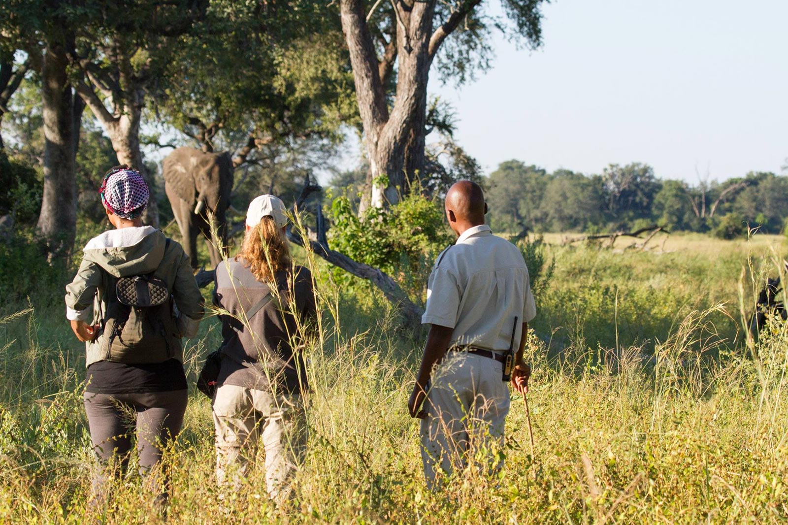 Walking safari camp okavango