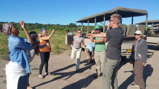 yoga on safari