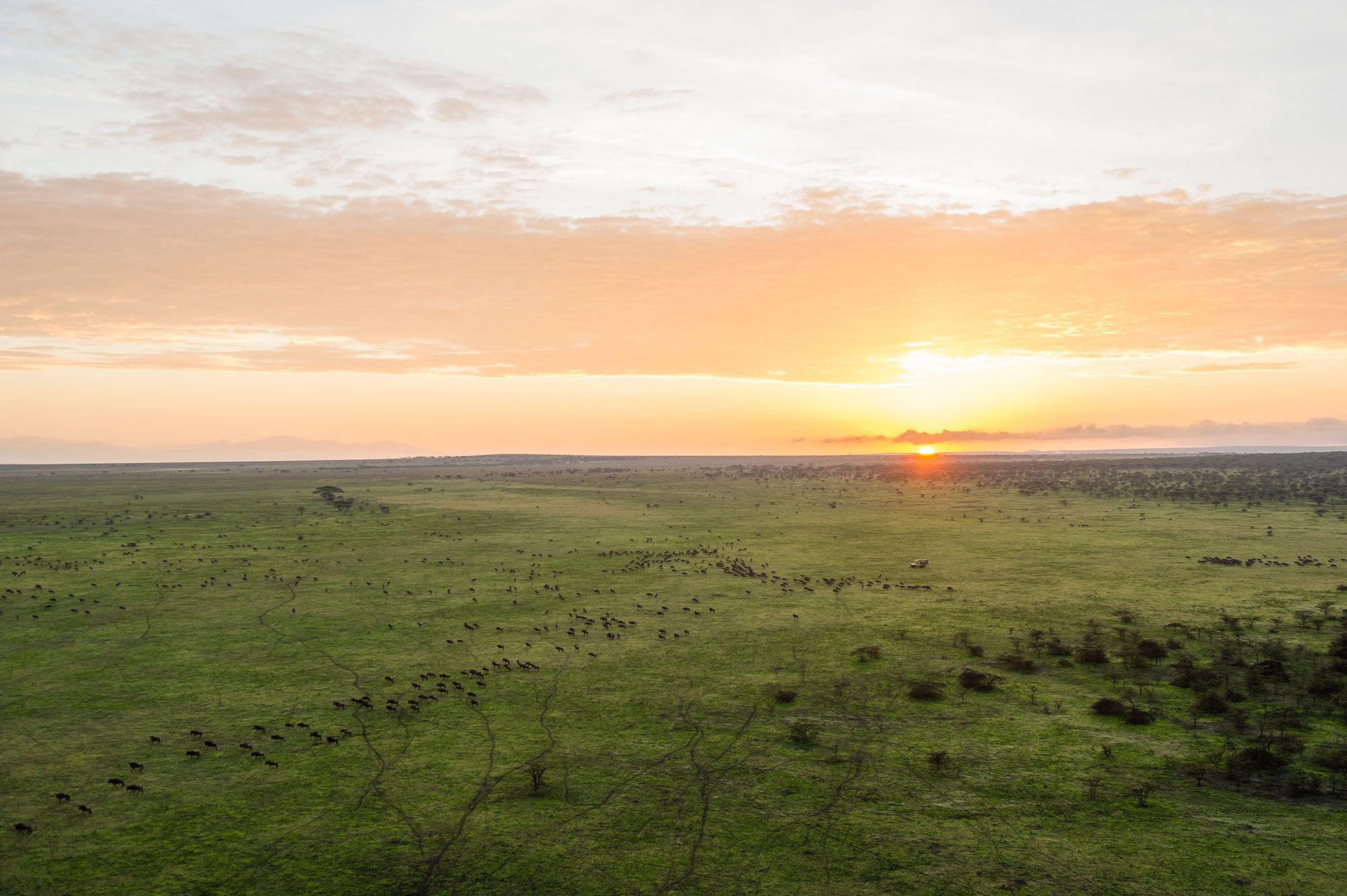 Die Serengeti von oben bei Sonnenuntergang