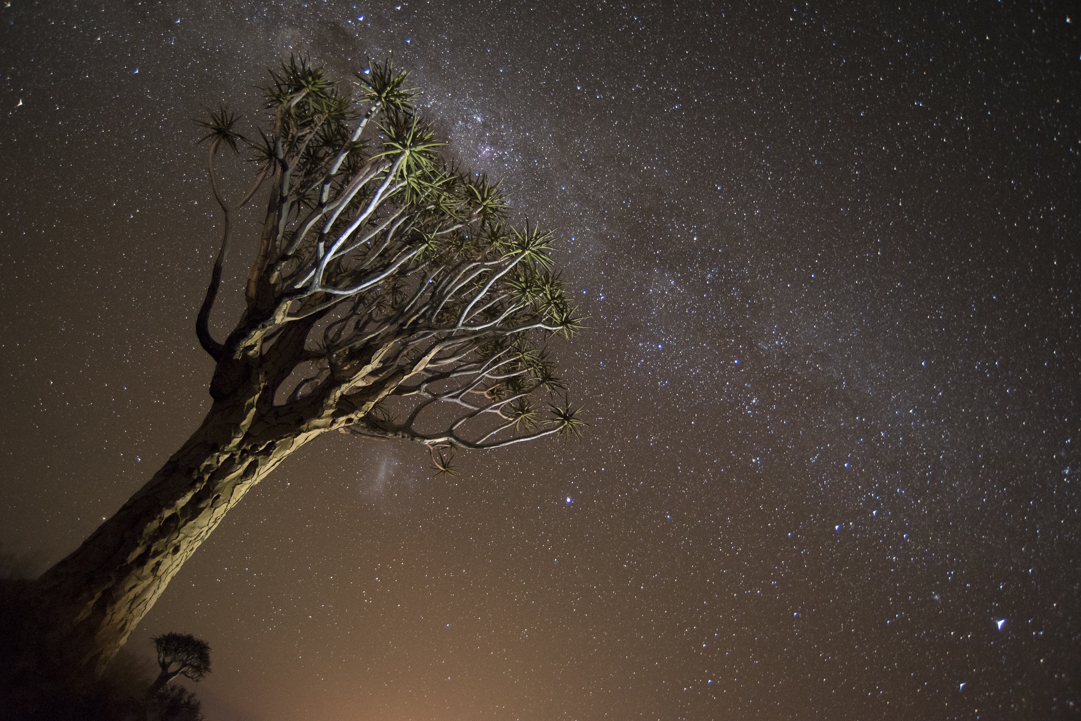 Nuit étoilé dans le désert de Namibie