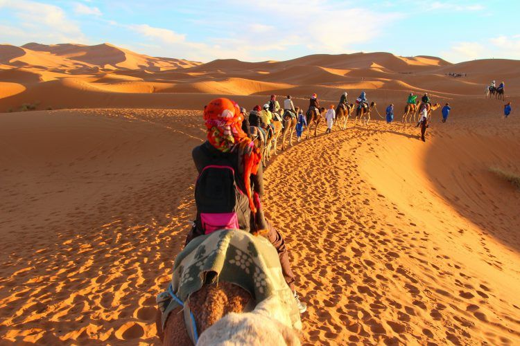 Caravana passeia pelo deserto do Saara - Pixabay