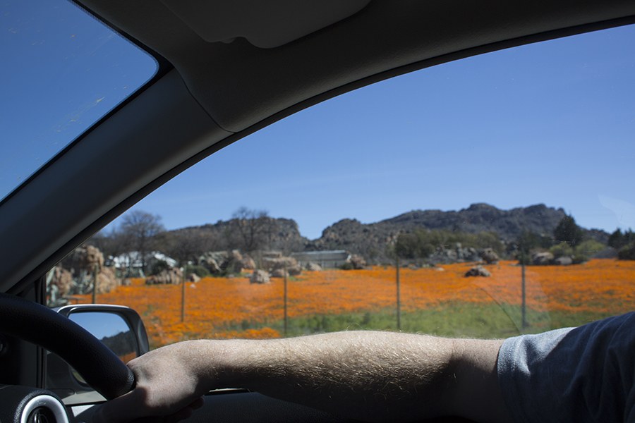 Dirigindo de carro na região de Cederberg, na África do Sul