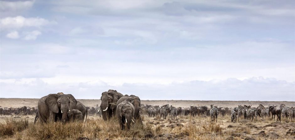 The landscapes at Etosha are diverse and astonishing