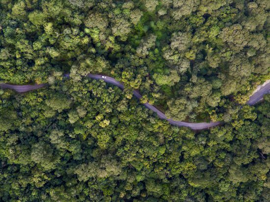 Ein Teil der Garden Route, die sich durch einen grünen Wald schlängelt aus der Vogelperspektive 