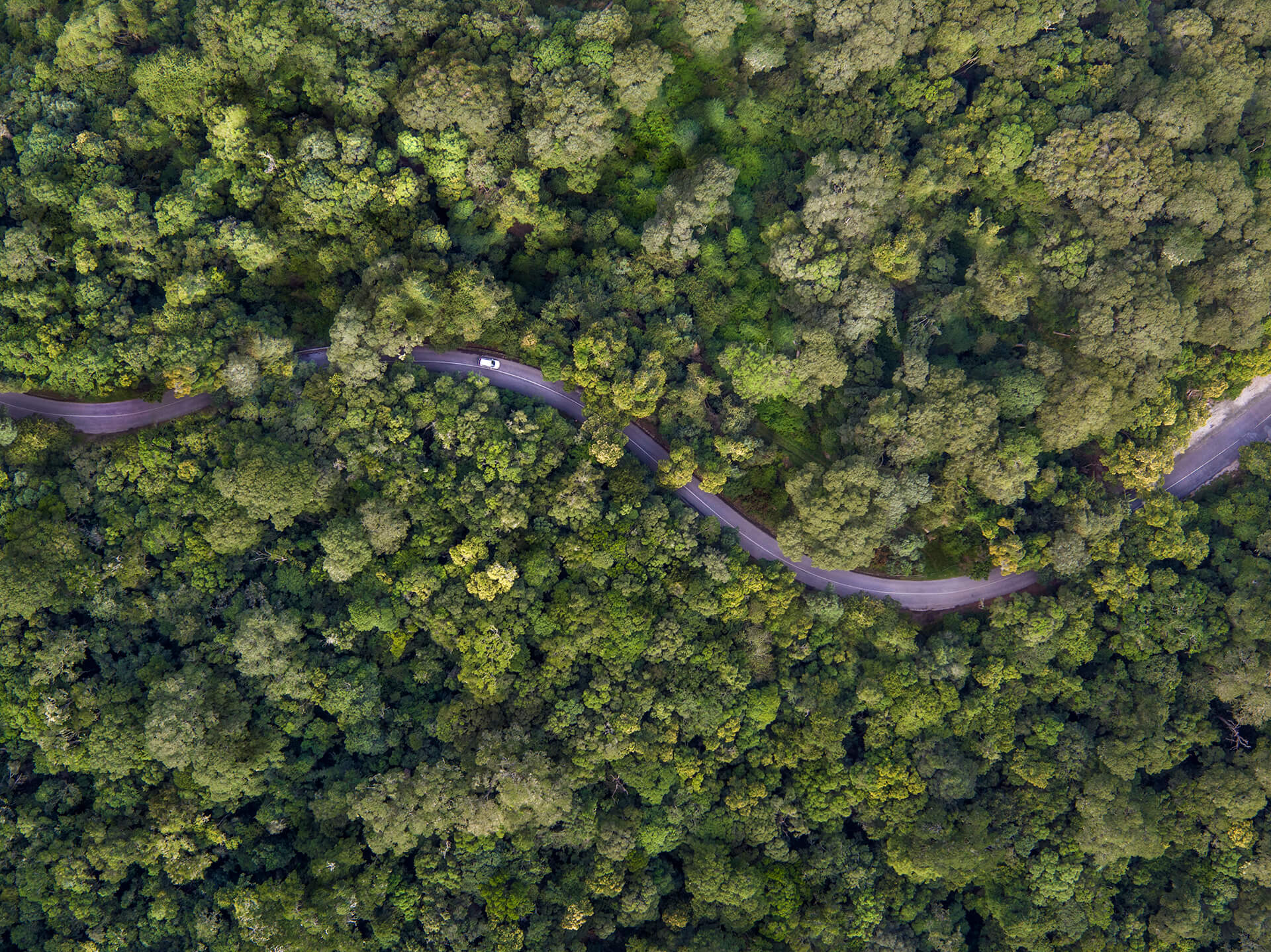 Que faire en Afrique du Sud : nos 7 incontournables en photos