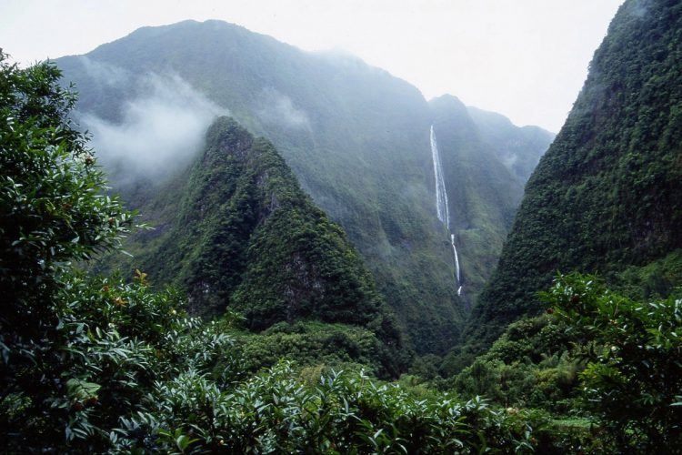 Réunion