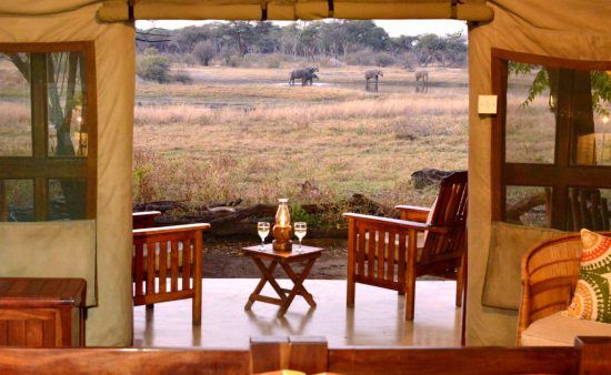 Guests at The Hide enjoy prime viewing of Hwange National Park wildlife