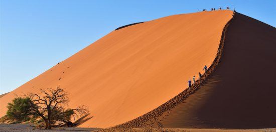 Sossusvlei Dune 45