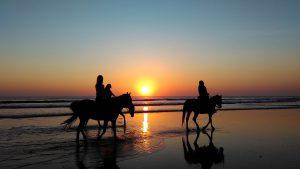 séjour romantique à l'île maurice : balade à cheval