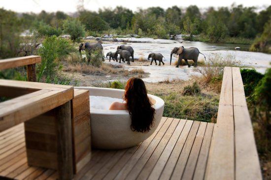 Frau in Badewanne vor Wasserloch, an dem Elefanten vorbeiziehen