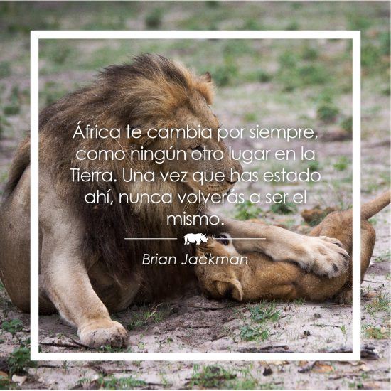 Frase sobre África de Brian Jackman