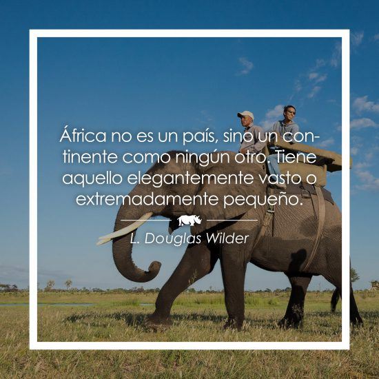 Frase sobre África de Douglas Wilder