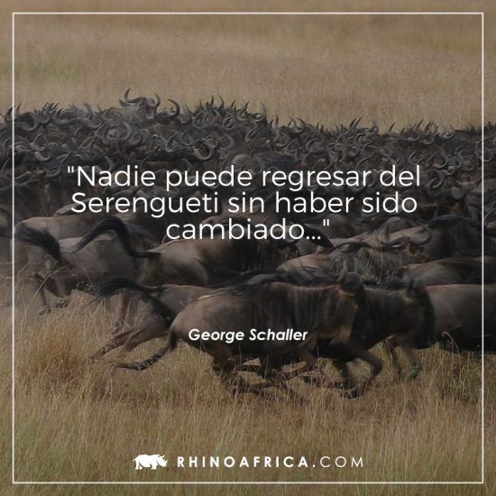 Frase sobre África de George Schaller