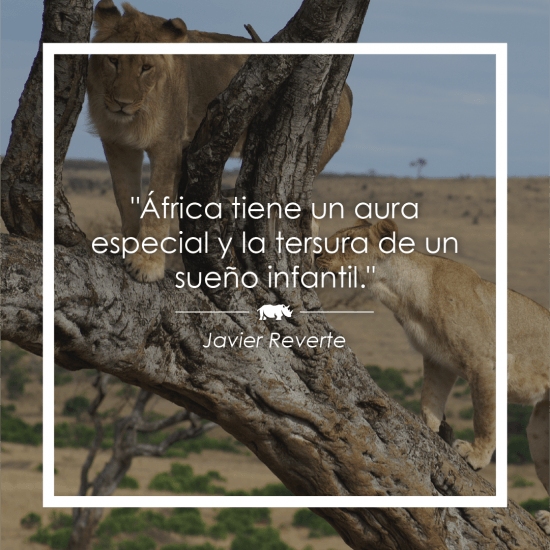 Frase sobre África de Javier Reverte