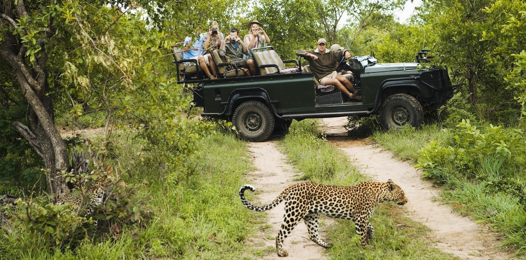 A leopard sighted on safari at Singita Kruger National Park