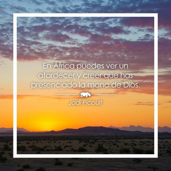 Frase sobre África de Jodi Picoult