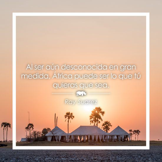 Frase sobre África de Ray Suarez