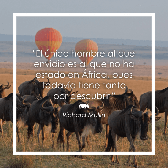 Frase sobre África de Richard Mullin