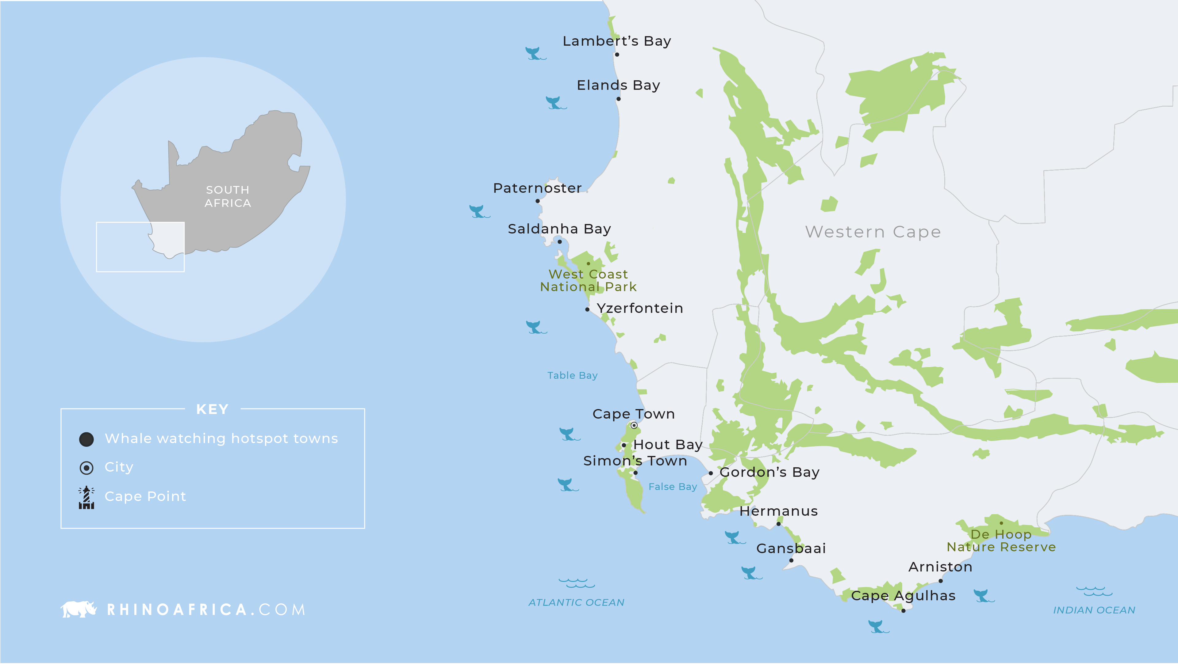 A map for whale-watching in South Africa with the best regions for whale watching