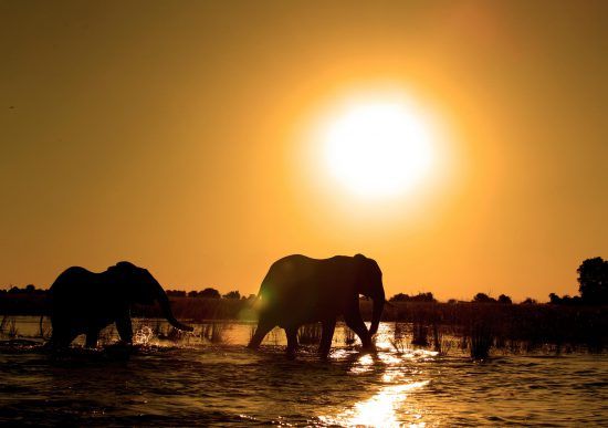 Der Roman "Die Hälfte der Sonne" thematisiert den Bürgerkrieg in Nigeria.