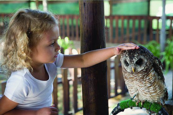 Children can enounter owls at Eagle Encounters at Spier