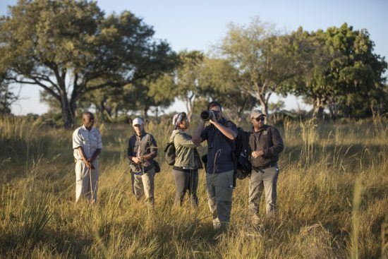 Safari à pied au Botswana dans le Delta de l'Okavango, à la recherche des éléphants