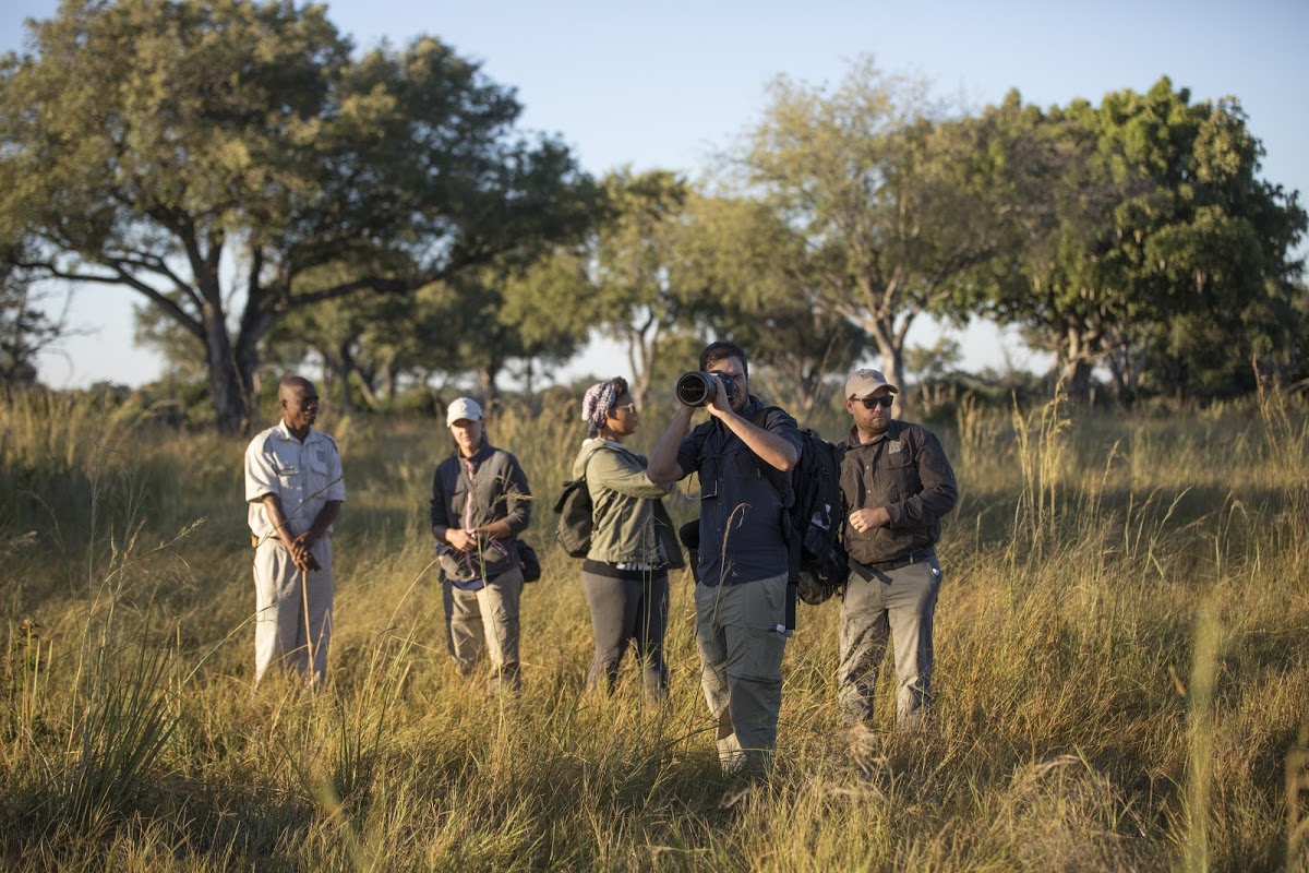 Private game reserve safari experiences include walking and photo safaris