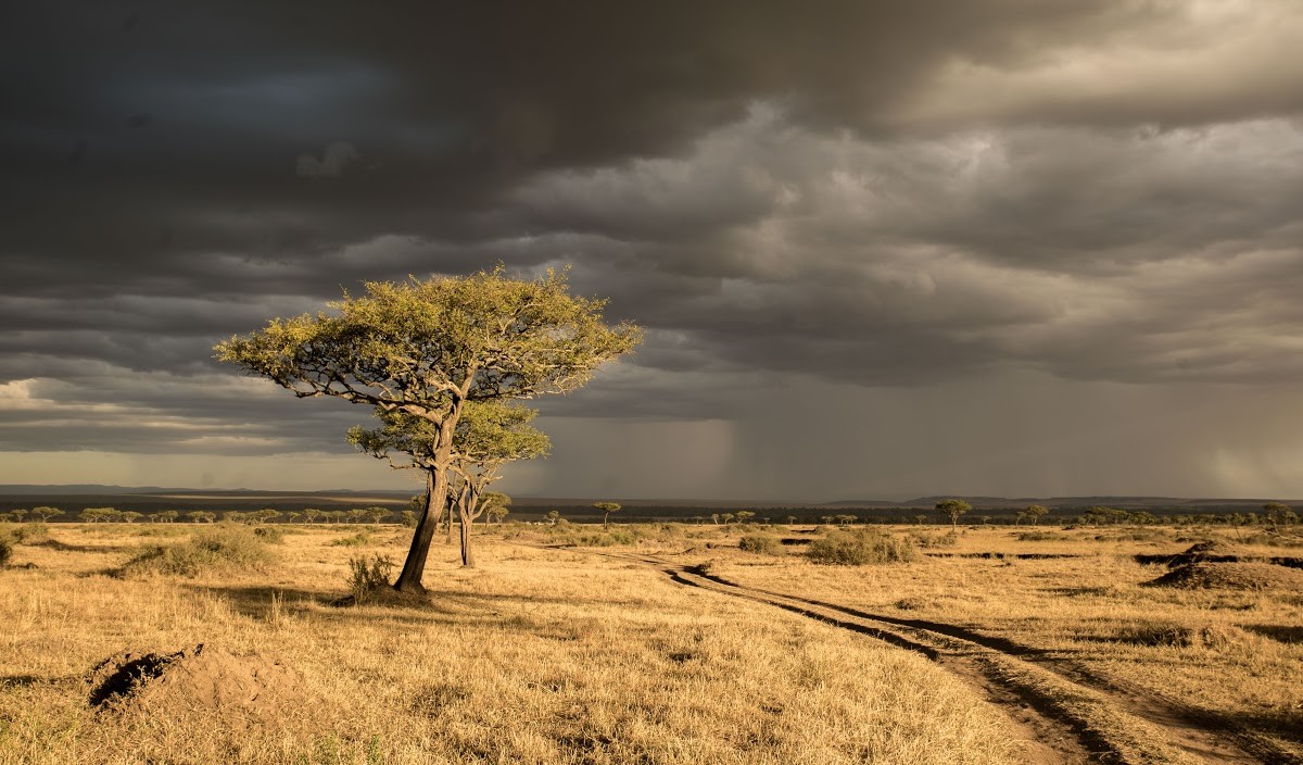 Dark clouds over the savannah