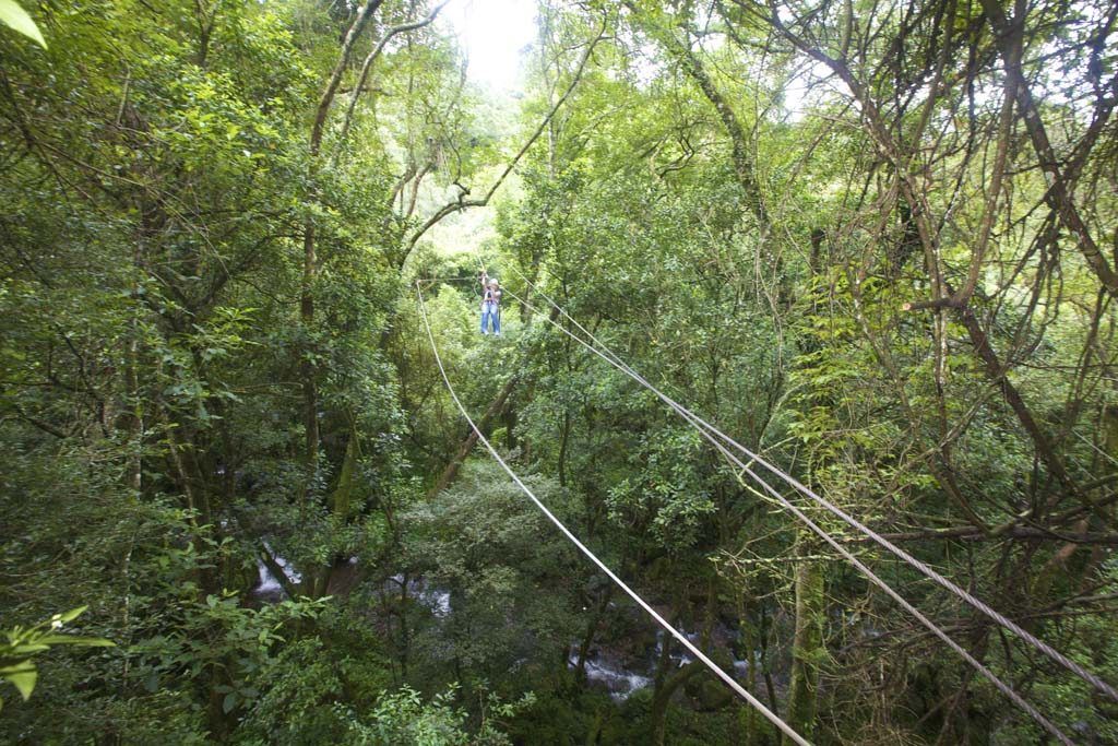 Karkloof Canopy Tours