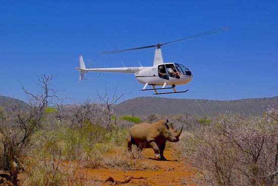 Um pouco mais aventureira do que a opção anterior, uma excursão de helicóptero proporciona vistas igualmente impressionantes da vida selvagem