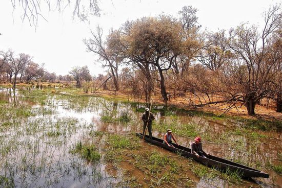 "Mokoro", uma embarcação tradicional do Botsuana, convida viajantes a uma exploração serena da natureza