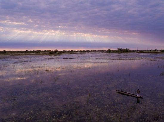 safári no botswana