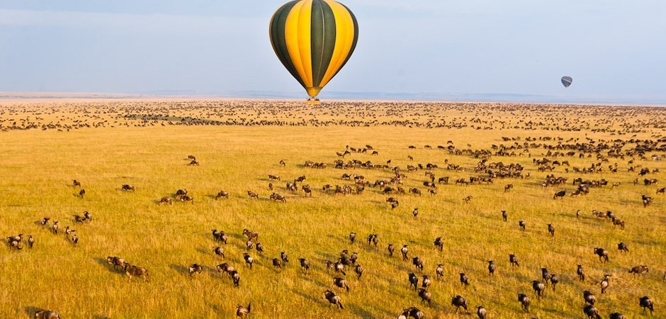 La Grande Migration dans les plaines du Masai Mara vue du ciel (montgolfière)