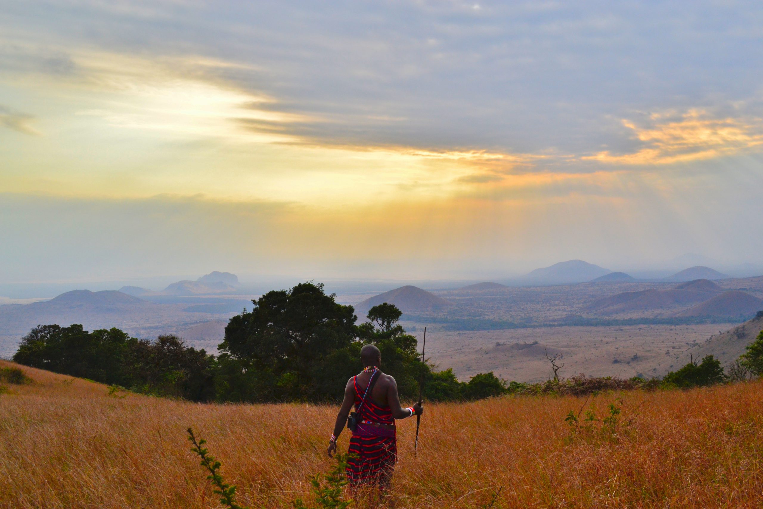 Maasai warrior in the grasslands