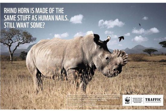 wwf campaign