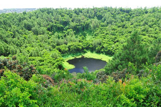 Der von grünem Regenwald umgebene Vulkan Trou-aux-Cerfs auf Mauritius