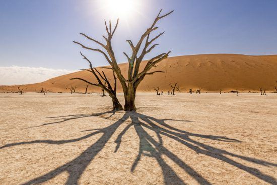 Sossusvlei Nationalpark in Namibia