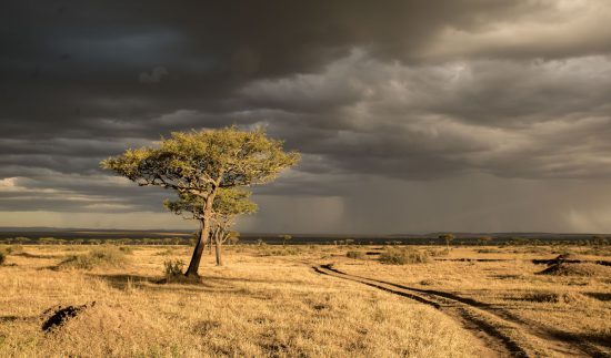 Céu turbulento em Mara, Quênia