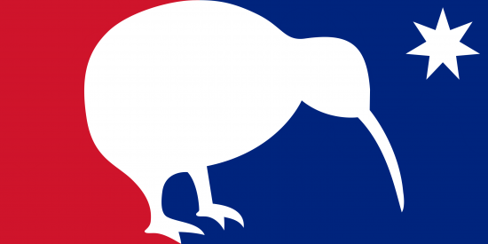 Kiwi bird on the New Zealand flag