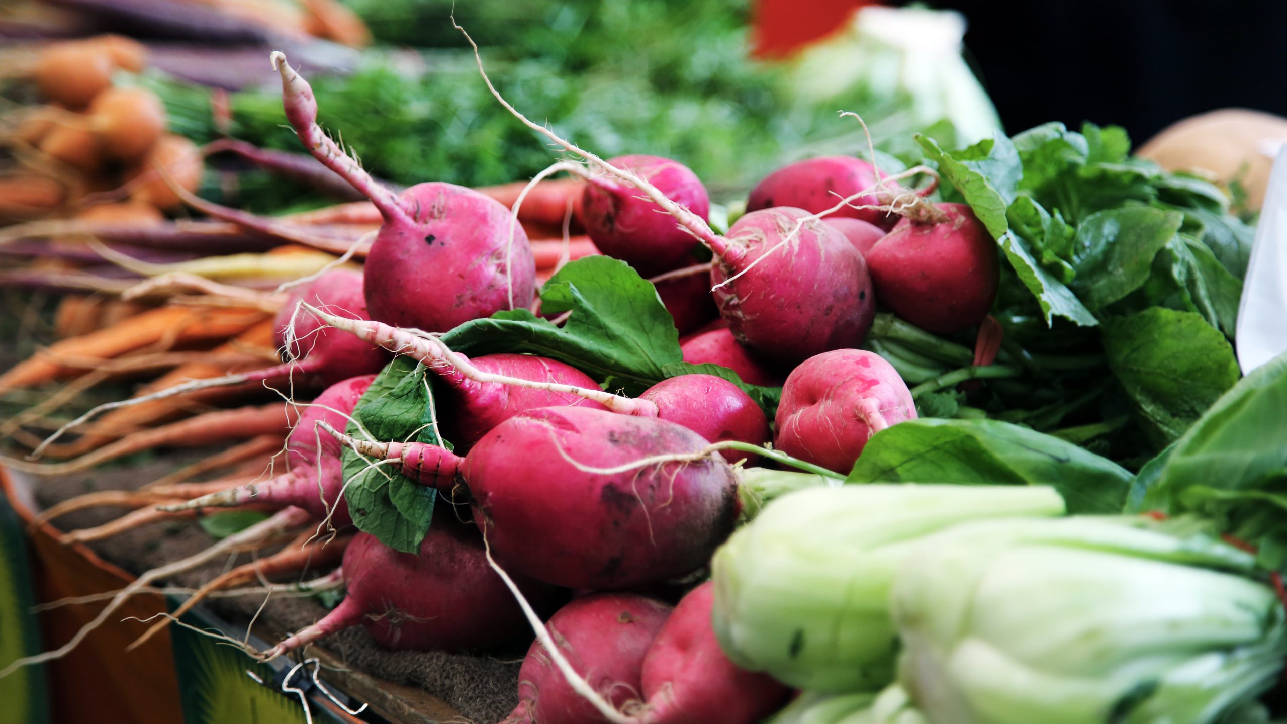 Fresh vegetables at the Karkloof Farmer's Market in South Africa