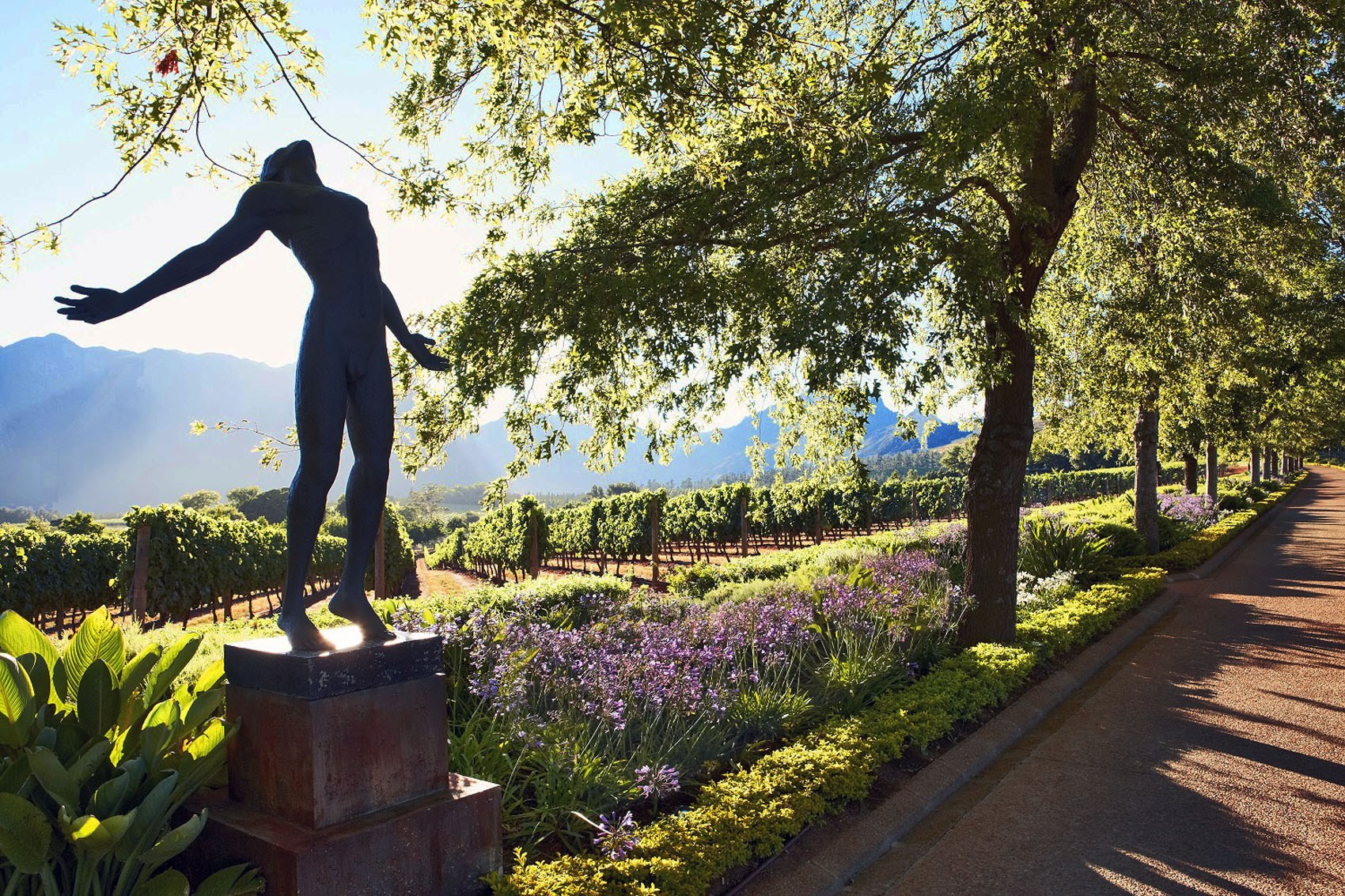 Delaire Graff | Vue sur le vignes du domaine