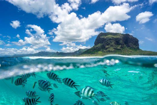 Fische unter Wasser und Berge auf Mauritius im Hintergrund