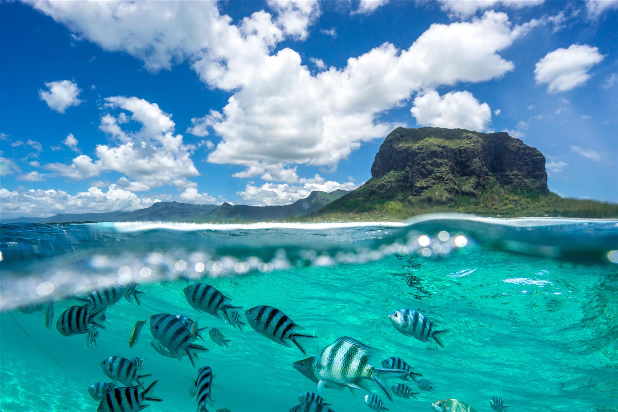 L'île Maurice, une des îles de l'océan Indien