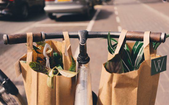 Use paper bags instead of plastic bags