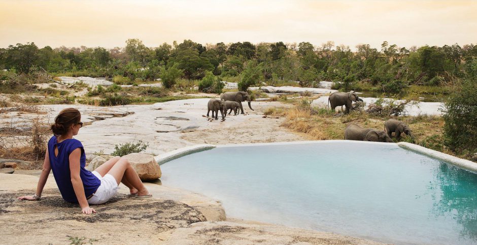 Hóspede se refresca enqunato observa elefantes no Londolozi Private Game Reserve