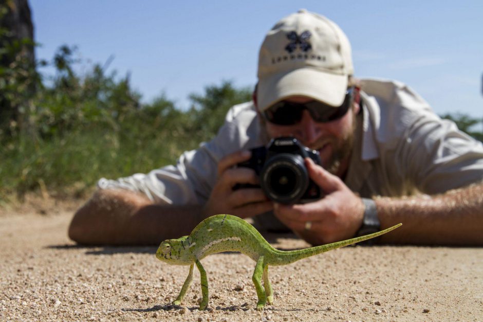 Membro da equipe do Londolozi fotografando animal