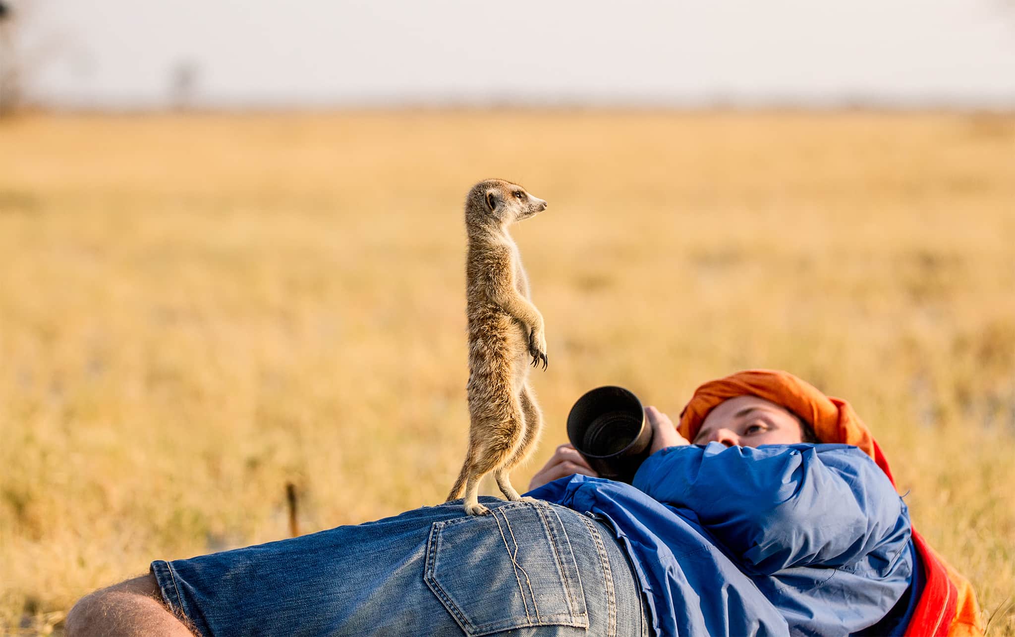 Erdmännchen steht auf einem Fotografen