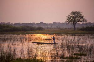 Paseo en mokoro en el delta del Okavango, Botsuana